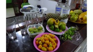 Read more about the article 巴西實習生活—水果飲料