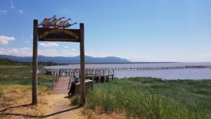 Read more about the article 非洲坦尚尼亞獵遊—Day.3 曼雅拉湖國家公園 Lake Manyara National Park