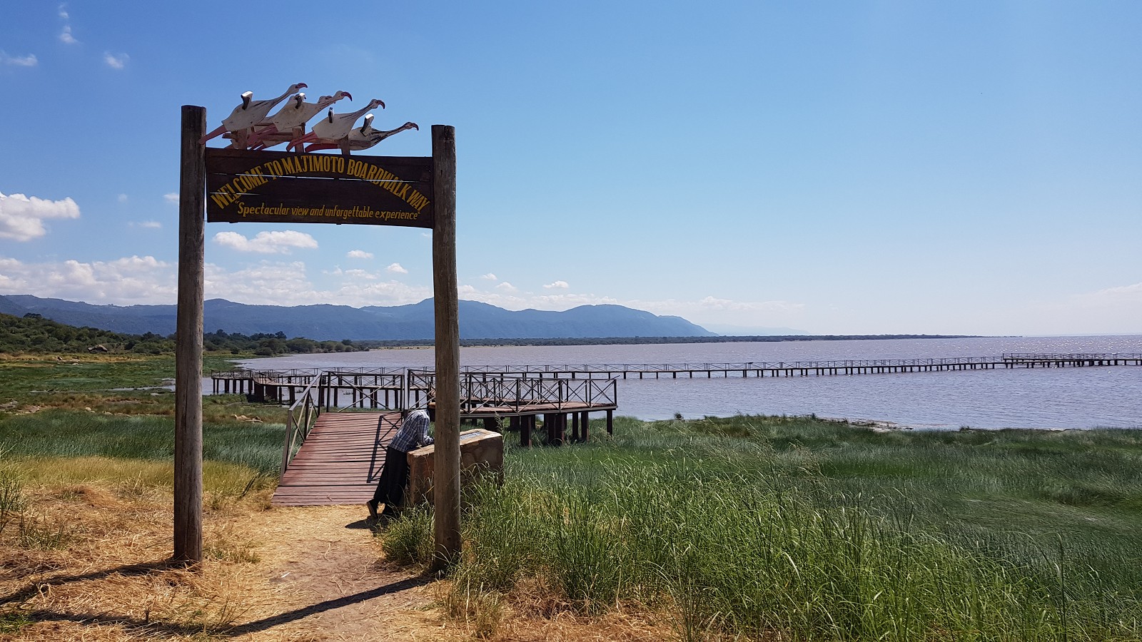 Read more about the article 非洲坦尚尼亞獵遊—Day.3 曼雅拉湖國家公園 Lake Manyara National Park